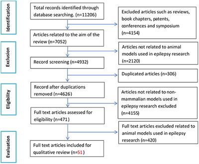 A Systematic Review on Non-mammalian Models in Epilepsy Research